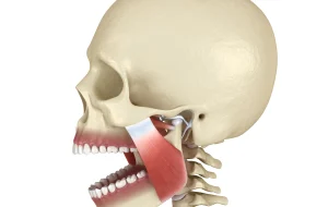 Orthodontie & sommeil : traitement d’un mauvais alignement dentaire pour améliorer le confort nocturne